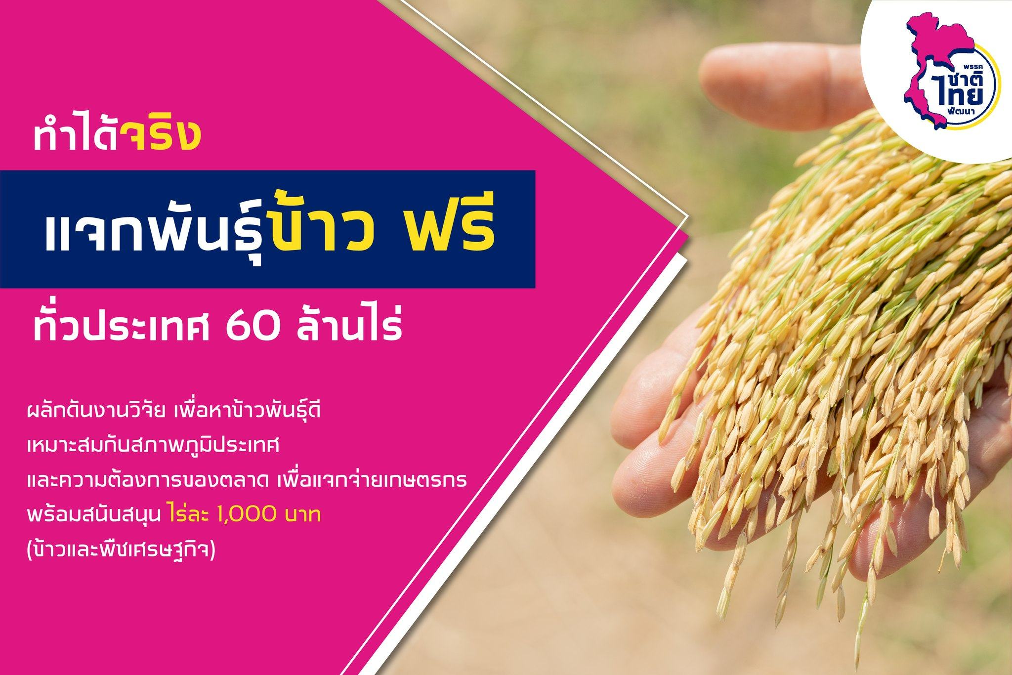 ทำได้จริง แจกพันธุ์ข้าวฟรีทั่วประเทศ 60 ล้านไร่ สนับสนุนเงินทุนเพาะปลูกไร่ละ 1000 บาท พรรคชาติไทยพัฒนา